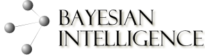 Bayesian Intelligence Pty Ltd